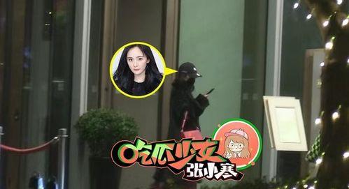 娱乐圈吃瓜少女张小寒,揭秘“吃瓜少女”张小寒的瓜界传奇  第3张
