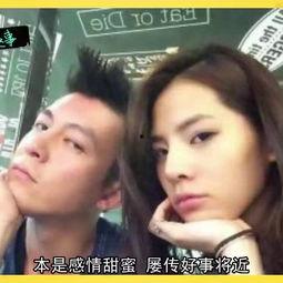 娱乐圈明星视频,揭秘明星幕后生活与精彩瞬间  第3张